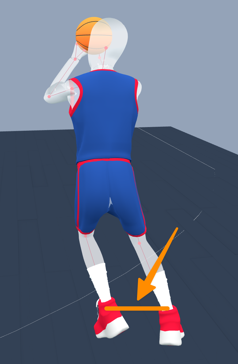 Ankle distance 2D illustration